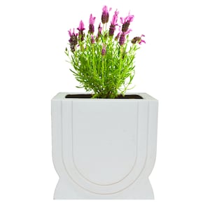Concrete Flower Pot Silicone Mold BS1 / Plant Pot Silicone Mold Silicone mold concrete,-Add your personalization - Planter Mold