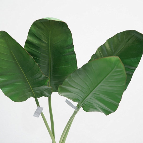 Bird of Paradise Leaves, Fake Strelitzia Reginae Foliage, Banana Leaf Crafts, Faux Tropical Plants, Artificial Flowers, Home Greenery Decor