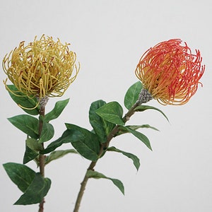 Fake Pin Cushion Flower Stem With Leaves, Leucospermum Cordifolium, Artificial Flower Craft, Bridal Bouquet Filler, Living Room Floral Decor