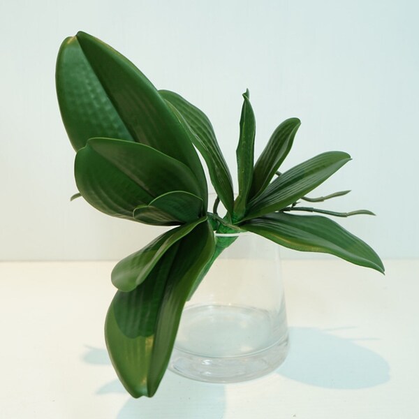 Phalaenopsis Plant Leaves with Root, Fake Orchid Foliage, Tropical Greenery, Grass for Bouquet, Artificial Flower Craft, Home Floral Decor