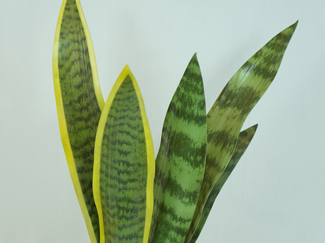Fake Snake Plant Sansevieria Trifasciata Artificial Flower Etsy