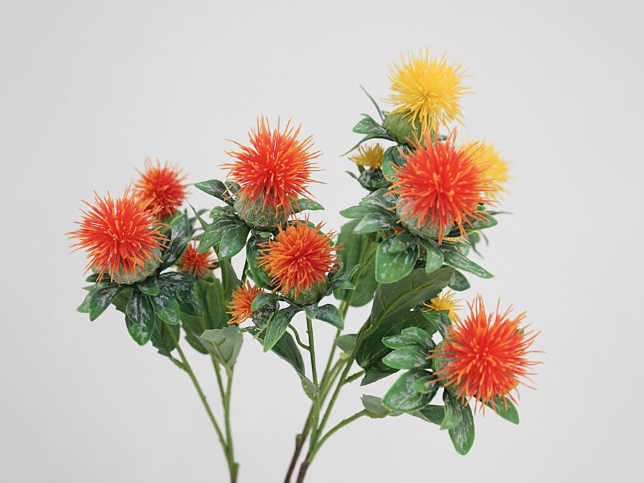Safflower  Funny How Flowers Do That