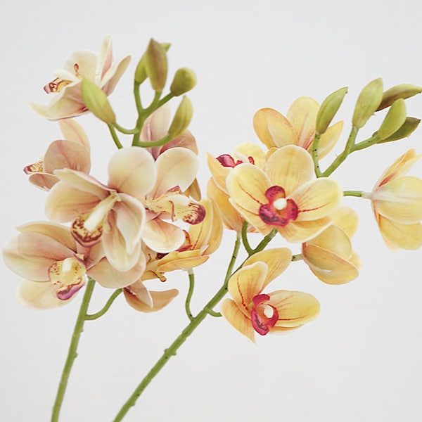 Fake Cymbidium Hybrid Orchid Stem, Artificial Flower Crafts, Home Floral Decor, Wedding Party Arrangement, Filler for Bouquet Garland, Gift