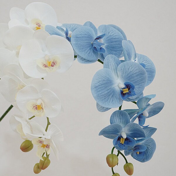 Quality Phalaenopsis Long Stem with Buds, Artificial Flower Craft, Butterfly Orchid for Wedding Bouquet, Home Floral Decor, Real Touch Petal