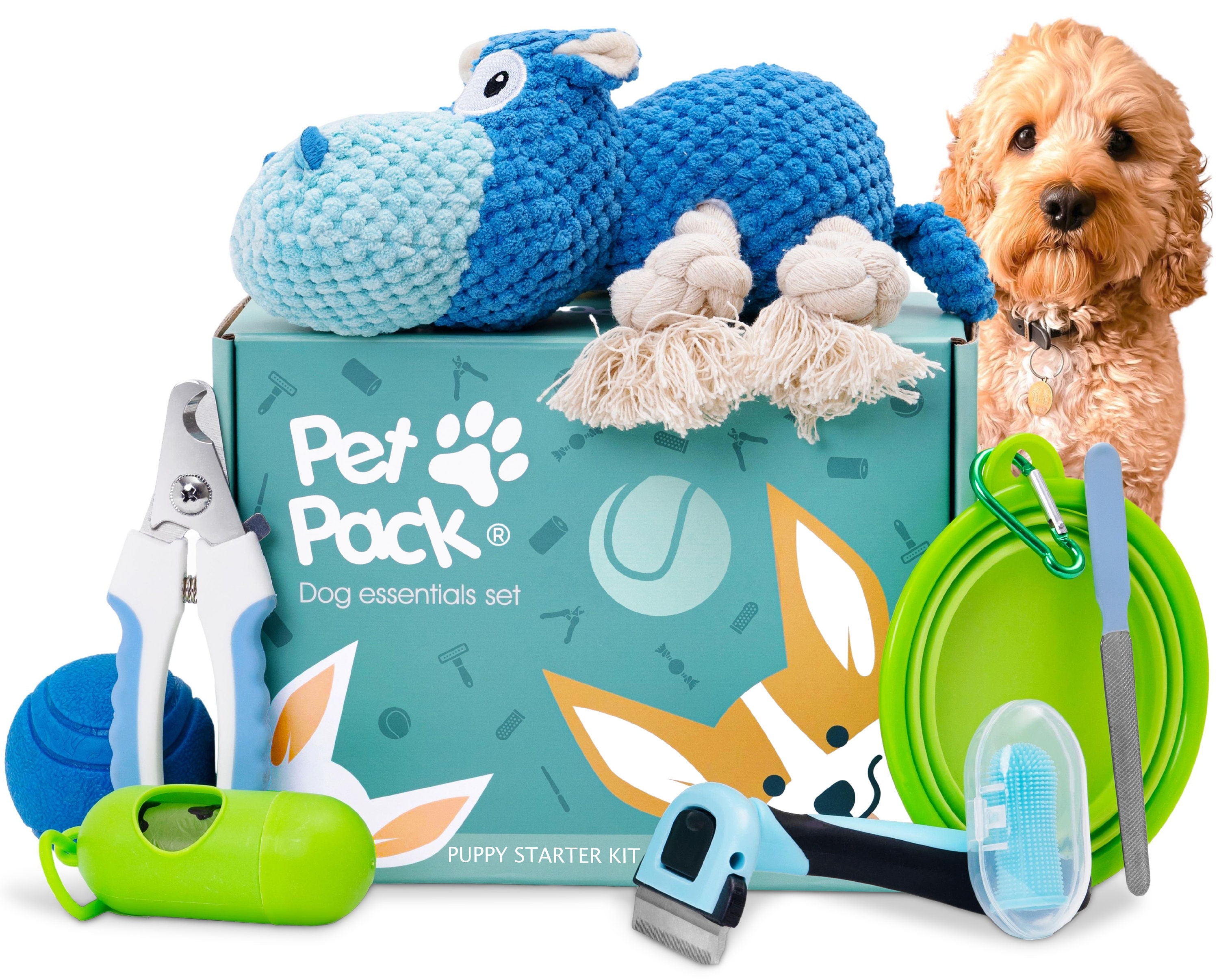 Pet Pack Dog Essentials Set Puppy Starter Kit for New Owners Fun Puppy Toys From 8 Weeks Small Dog Perfect New Puppy Gifts Etsy Australia