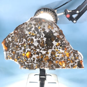 215G Sericho Pallasite meteorietplak, Keniaanse meteoriet, mooie meteorietplak, Meteorietgift X766