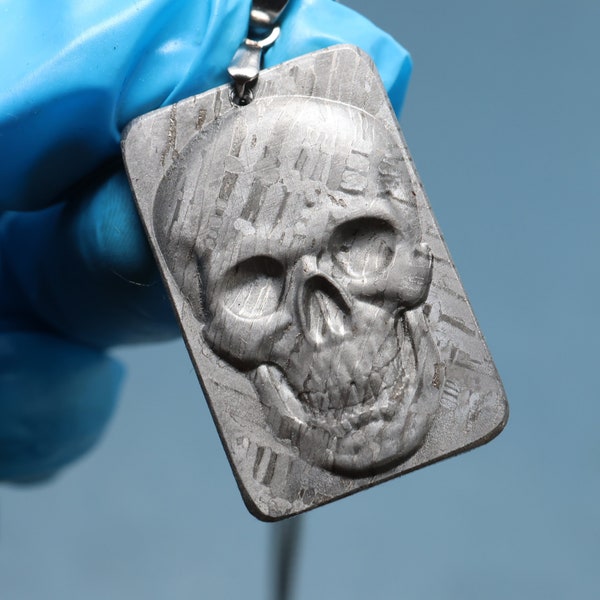 Fer météorite pendentif collier cadeau Collier Squelette Tête de crâne pendentif X474