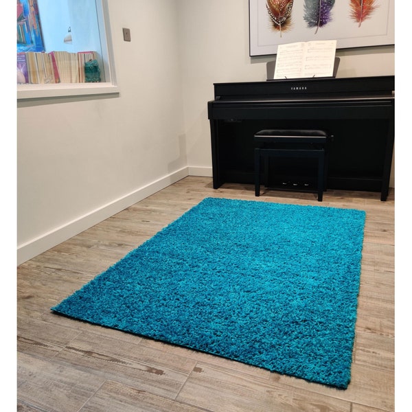 Modern Dyno Shaggy Soft Trendy Colours Turquoise Rugs Runners 120x170cm (4'x5'6")