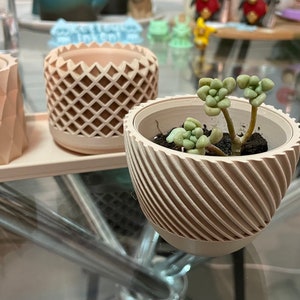 May include: Three small, beige, geometric planters. Two are empty and one contains a small green succulent plant.
