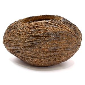 Peut inclure: Un pot en céramique brun avec une surface texturée, ressemblant à une noix de coco.