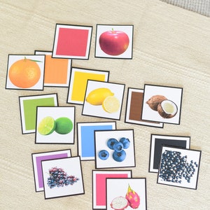 Tarjeta de actividad de combinación de frutas y colores imprimible, actividad de estante Montessori para etiquetado y vocabulario, aprendizaje de colores y etiquetado de colores