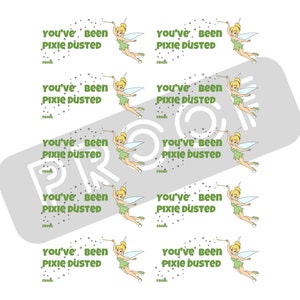 Pixie Dust Cruise FE Stickers/tags image 3