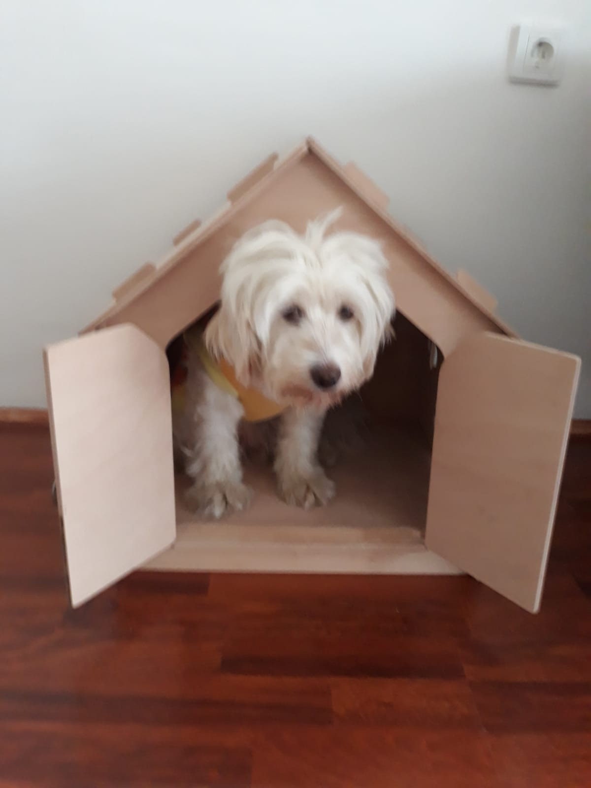 Petpone Monte™ Modern Dog House Cat House Indoor Dog House Etsy