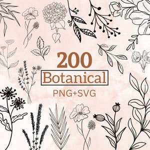 48 feuilles SVG / SVG de feuilles dessinées à la main / fichiers de coupe / fichiers pour Cricut / Silhouette / Clipart / vecteur