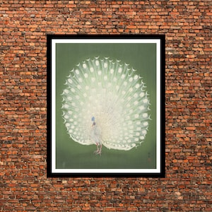 Vintage Wall Art, Vintage Peacock, White Peacock, Peacock Print, Japanese Wall Art, Exotic Bird Art, Emerald Green Art, Antique Wall Decor