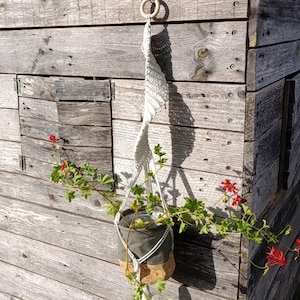 Peut inclure: Un porte-plante en macramé avec un pot vert et en liège, suspendu à un anneau en bois. Le support contient une plante verte avec des fleurs rouges, contre un mur en bois vieilli.
