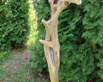 May include: A tall, weathered driftwood sculpture with a unique, twisted shape. The wood is light brown and has a natural, organic texture. A metal coil is embedded in the center of the sculpture, adding a modern touch. The sculpture is mounted on a black base.
