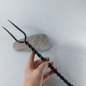 Può includere: Una forchetta in metallo nero con un manico attorcigliato. La forchetta è lunga circa 25 cm e ha due rebbi.