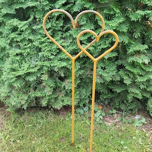 May include: Two heart-shaped garden stakes made of weathered, golden-coloured metal. The stakes are placed in a grassy area in front of a dense green hedge. The hearts are connected and stand upright.
