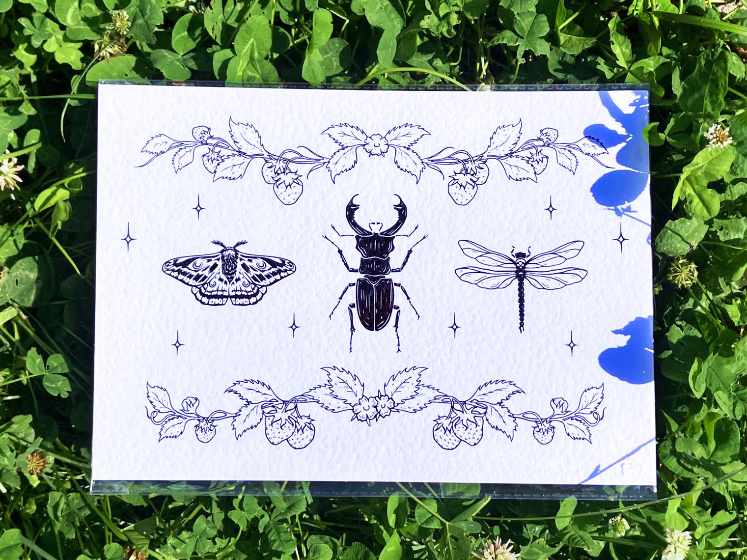 Spring Bug Artwork Bug & Beetles Art Print - A4 Spring Insect Art Print, Cottagecore Art ...
