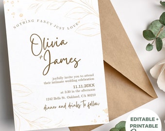 Courthouse Wedding Invitation Nothing Fancy Just Love Invitation Editable Micro Wedding Invitation Elopement Reception DIY Modern Minimalist