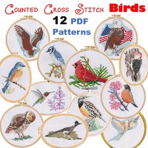May include: A collection of 12 PDF counted cross stitch patterns featuring various bird designs. Each pattern is displayed in a wooden embroidery hoop, showcasing detailed cross-stitch artwork of different bird species, including an eagle, blue jay, and cardinal.