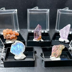 May include: Five distinct mineral specimens displayed in individual black plastic cases with clear hinged lids. The collection includes an orange cluster, a translucent purple point, a pale pink shard, a blue iridescent stone, and a metallic-toned crystal.
