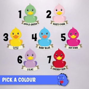 May include: Seven cartoon rubber ducks in apple green, dusty pink, classic yellow, baby blue, hot pink, lilac, and cherry red. Each duck has a numbered label and a color name. A blue dinosaur graphic and the text PICK A COLOUR are at the bottom.