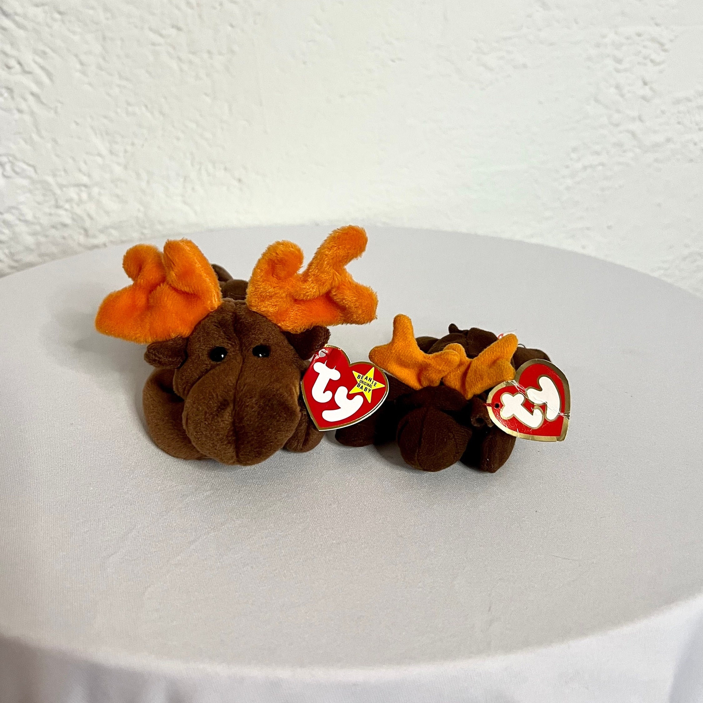 Chocolate Moose Beanie Baby & Teenie Baby 1993 Retired Beanie Baby