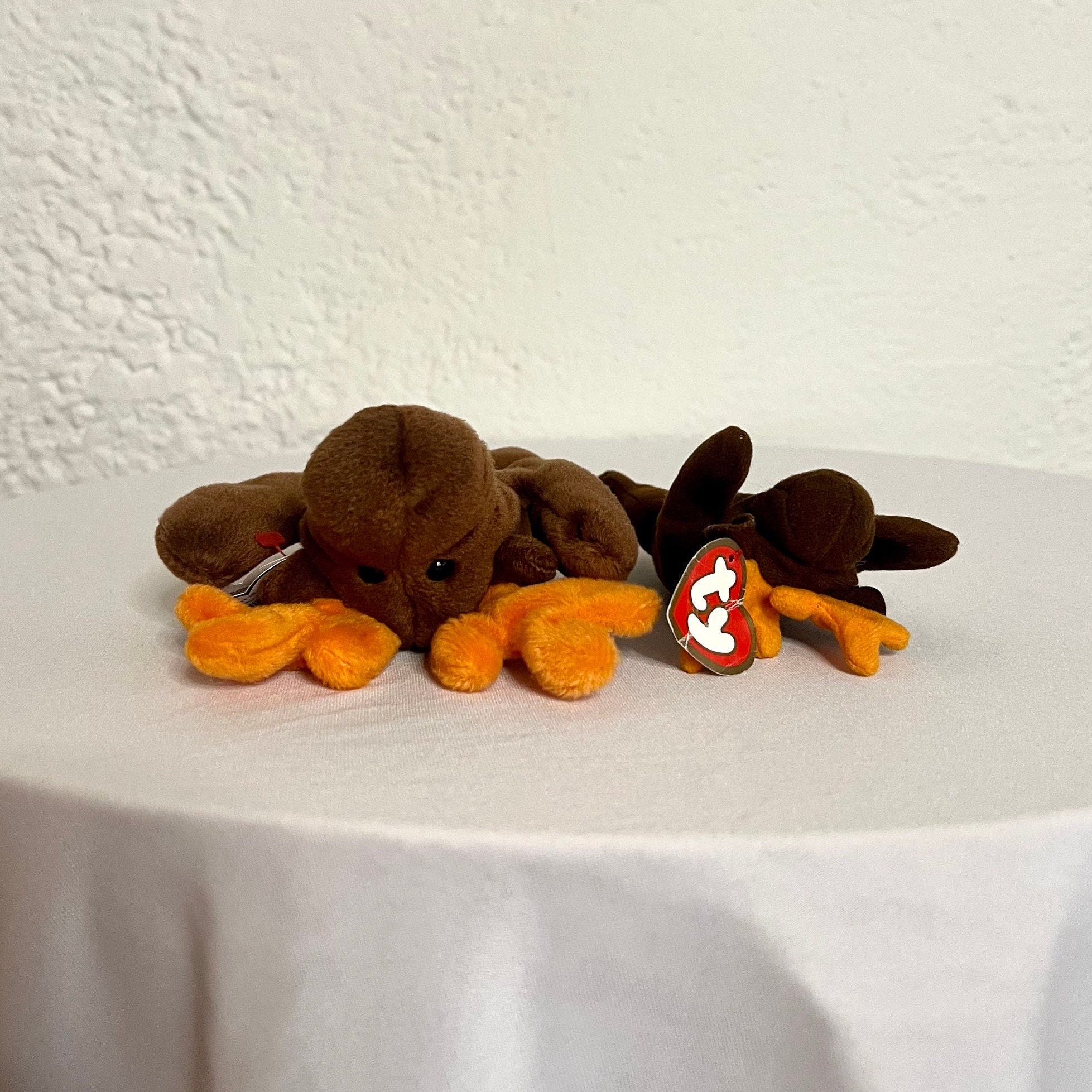 Chocolate Moose Beanie Baby & Teenie Baby 1993 Retired Beanie Baby
