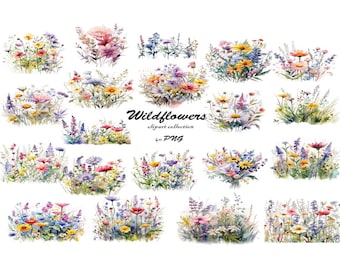 Watercolor Wildflower Clipart,  Watercolor Spring Flowers PNG, Floral Clipart, Wildflower Bouquet, Meadow Flowers Floral Clipart Bundle