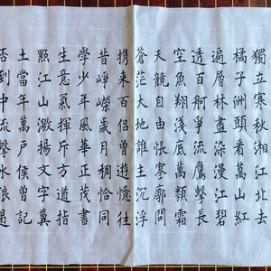 Hand-written Chinese Calligraphy Practice work- Poems of Mao Zedong