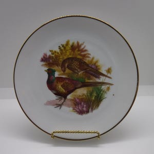 Kuba Porzellan JWK Western Germany Pheasant Game Bird Dinner Plate