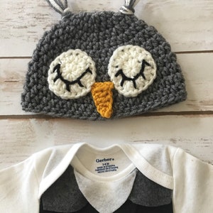 Crochet Owl Hat - Winter Costume Beanie