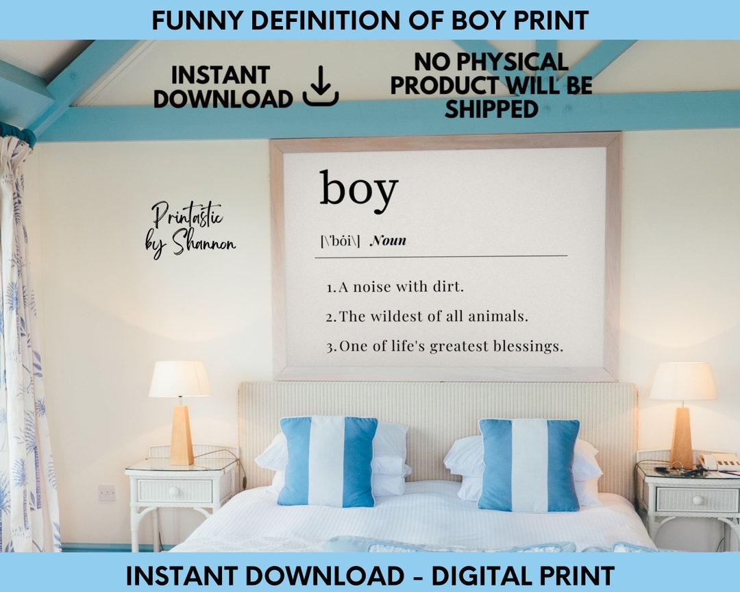 Funny Definition of Boy, A Noise With Dirt, Baby Shower Gift, Blessing, Typography Print, Wall
