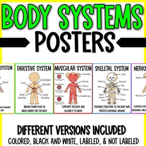 Human Body Systems + Major Organs Posters + Picture Cards + Description Cards, labeled + No Label versions, Homeschool Science