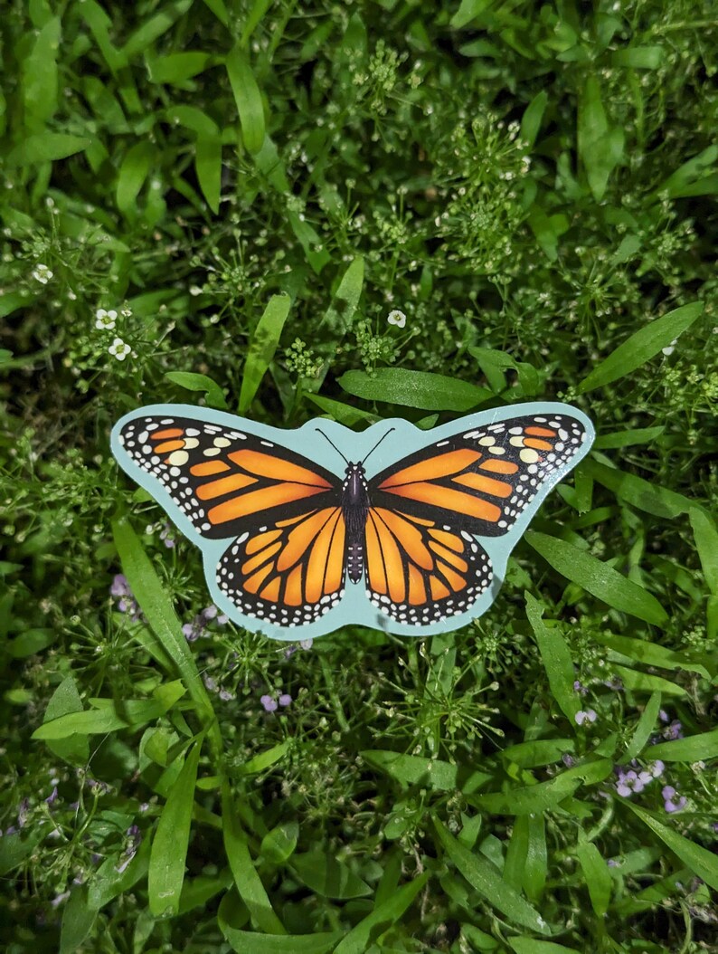 May include: A monarch butterfly sticker featuring vibrant orange and black wings with white spots along the edges, set against a light blue background. The butterfly is displayed with its wings fully spread in a symmetrical, flat design.