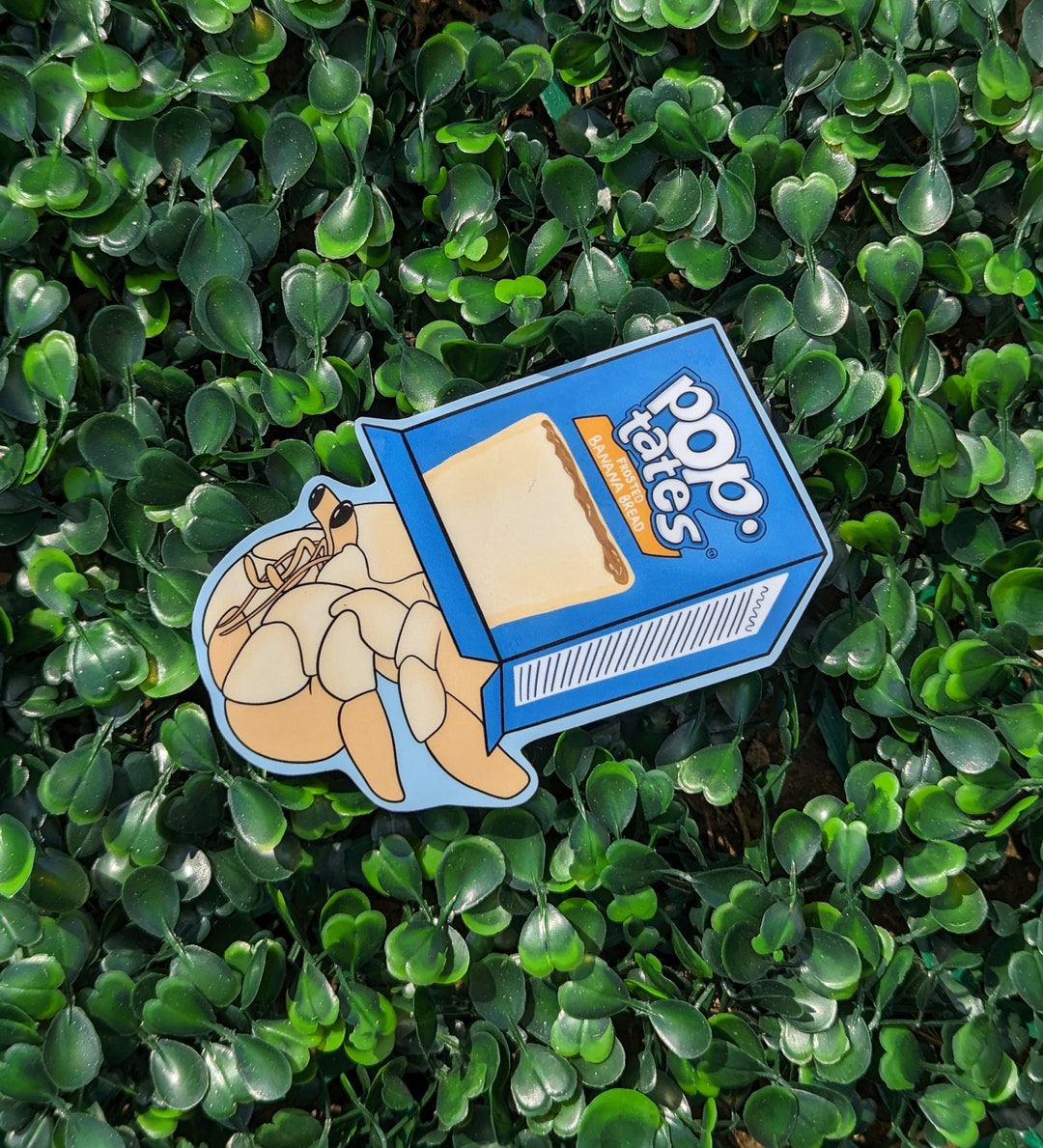 Hermit Crab Forster Banana Bread Poptart Shell Sticker - Etsy