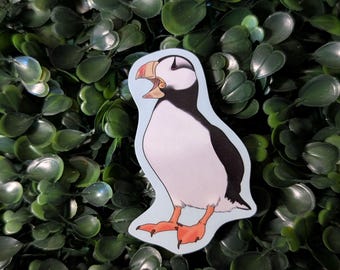 Horned Puffin Bird Sticker