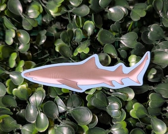 Pegatina de Lemon Shark