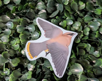 Cedar Waxwing Bird Sticker