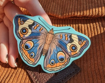Blue Buckeye Butterfly Sticker