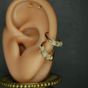 Titanium clicker piercing ring ASTM-F136 mouse vertebrae bone, taxidermy, osteology, vulture culture