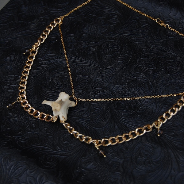 Fox vertebra necklace, bone taxidermy, osteology, Victorian