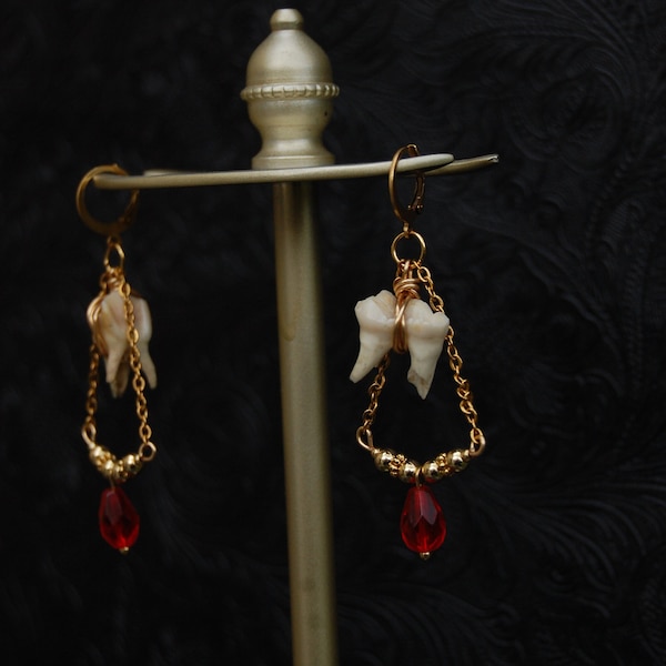 Pair of gold or silver deer teeth earrings, taxidermy, bones, curiosity