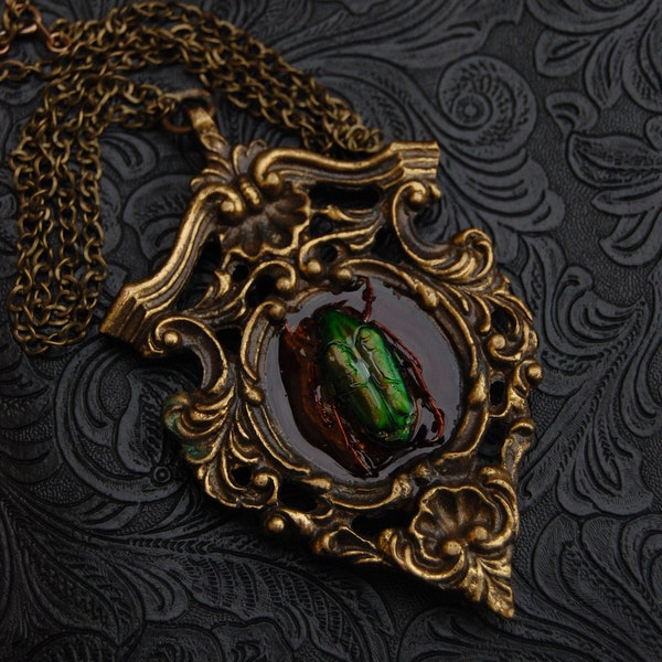 Collier scarabée naturalisé, entomologie, curiosité, pendentif bronze antique, style Louis XIV, taxidermie