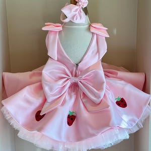 rosita dress toddler pink 2t sale Rosita Fresita Dress for Baby