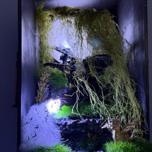 Fourth Wing - Iron Flam - Onyx Storm inspired Book Nook