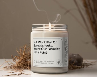 Funny Boss Candle, Coworker Gift, Funny Candle, Office Excel Gift, Soywax Scented Candle