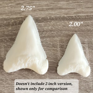 Great White Shark Tooth Larger Size Replica Pack of Two (2)